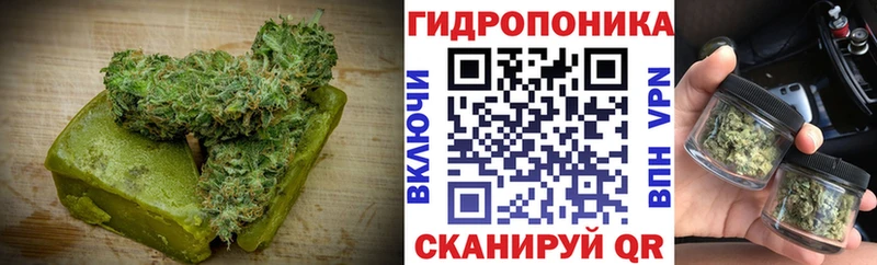 Cannafood конопля  как найти закладки  Новая Ладога 