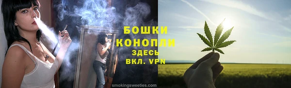 дмт Переславль-Залесский
